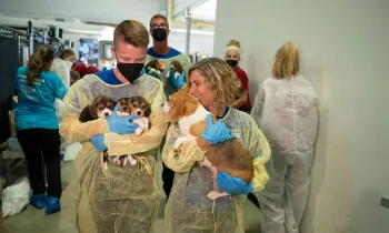 Kitty Block carries a beagle