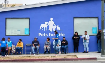 People waiting in line outside for Pets For Life services.