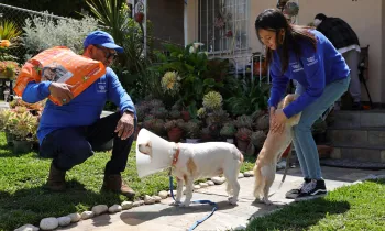 A man kneels down to greet a dog