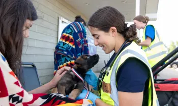 Puppy at a vet clinic