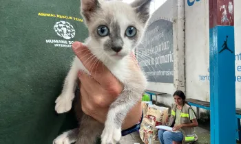 A person holding a cat