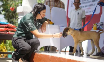 A woman feeds a dog