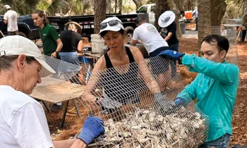 A team of people fill a cage with shells to restore an oyster reef near Kiawah Island.