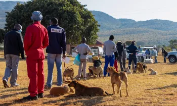 HALO Outreach in GaMoraba, Limpopo Province, South Africa