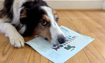 A dog laying on a wood floor with his snout resting on an issue of All Animals magazine.