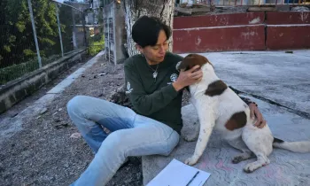 Helping a community dog