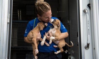 Hurricane response