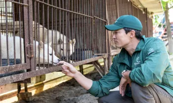 Daniel Henney at a dog meat farm in South Korea