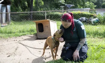 a woman kneeling down next to a dog