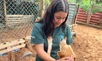 a person holding a baby dog