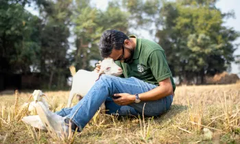 A man in a green shirts sits in a grassy field, embracing a white goat 