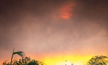Los Angeles wildfires