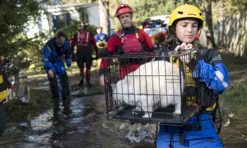 Our highly trained and technically certified staff is working closely with emergency officials and shelter partners to wade through flood waters and help animals stranded or in need.