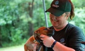 a person holding a young dog in their arms