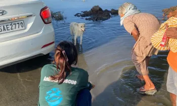 India's disaster response team is providing relief in some of the worst flood-affected regions of Punjab.