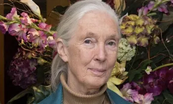 Jane Goodall standing in front of a floral arrangement