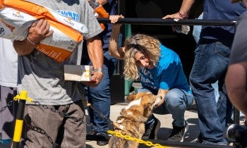 a person with a dog