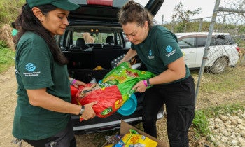 Hurricane Melissa response in Jamaica