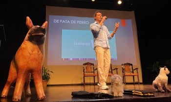 Animals in disasters forum in Mexico