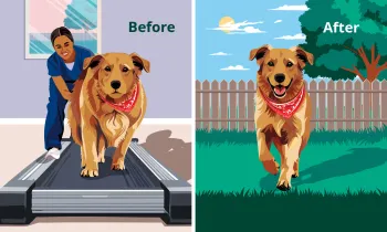 Split image illustration: On the left, a dog with a red bandana walks on a treadmill indoors labeled "Before." On the right, the same dog runs outside on grass in a fenced yard labeled "After".