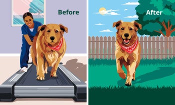 Split image illustration: On the left, a dog with a red bandana walks on a treadmill indoors labeled "Before." On the right, the same dog runs outside on grass in a fenced yard labeled "After".