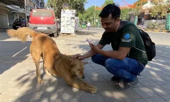 a man sitting on the sidewalk with a dog