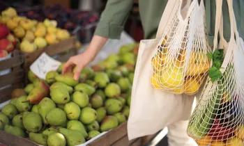 a person holding a basket of fruit
