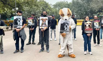 Humane World for Animals India and other NGO did a protest in India's national capital Delhi's most iconic and historic protest site, Jantar Mantar.  People are holding pro-ABC placards