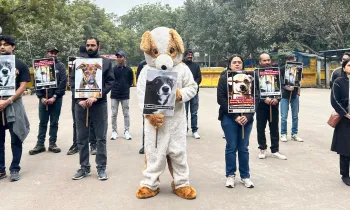 Humane World for Animals India and other NGO did a protest in India's national capital Delhi's most iconic and historic protest site, Jantar Mantar. People are holding pro-ABC placards