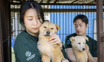 two people holding dogs
