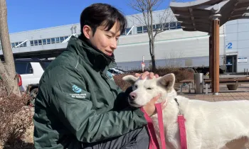 Man petting white dog