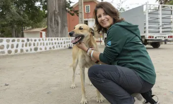 Survey Week in Barraza