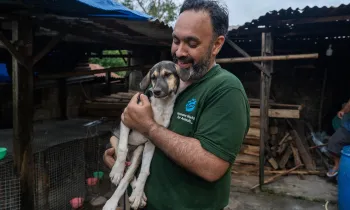 A person wearing a green shirt with a "Humane World for Animals" logo is holding a dog in their arms. 