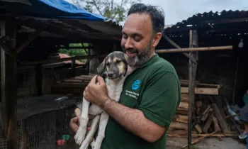 Indonesia dog meat slaughterhouse, pre-closure.