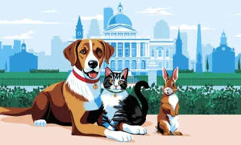 Illustration of a dog, cat, and rabbit sitting together in front of the Massachusetts State House with a city skyline in the background.