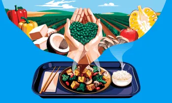 Illustration of a plant-based meal tray with tofu, vegetables, and rice, with ingredients like beans and produce shown above.