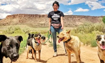  a person standing outdoors on a dirt path with several dogs