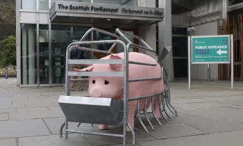Images from the Edinburgh stop of the Crate Britain Tour as part of Humane World for Animals UK campaign to ban farrowing crates.