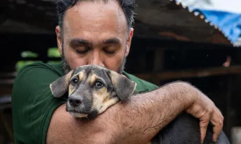 Dog rescued from the dog meat trade in Indonesia