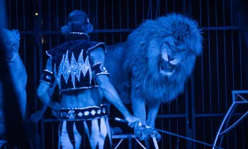 Circus performer with a  large cat