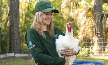 New branded clothing at Karla Dumas Yesahcan Farm Animal Sanctuary