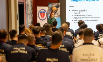a person giving a presentation to a group of people
