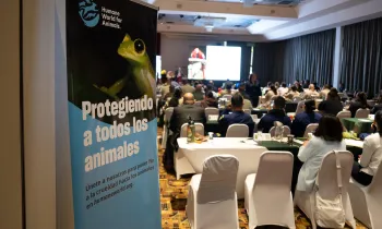 Organized Crime and Wildlife Trafficking Seminar