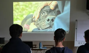 Kids watching a video of a dog