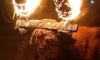 Bull at Toro Jubilo Festival