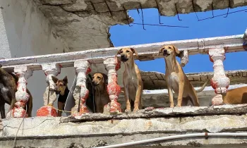 Hurricane Otis in Mexico