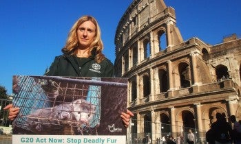 G20 fur signatures handin