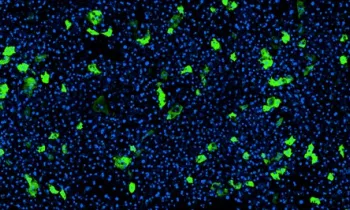 Liver chip aav expression