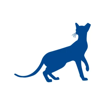 Cat icon with tipped ear