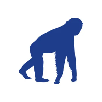 monkey icon